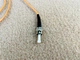 simplex fiber