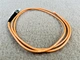 simplex fiber